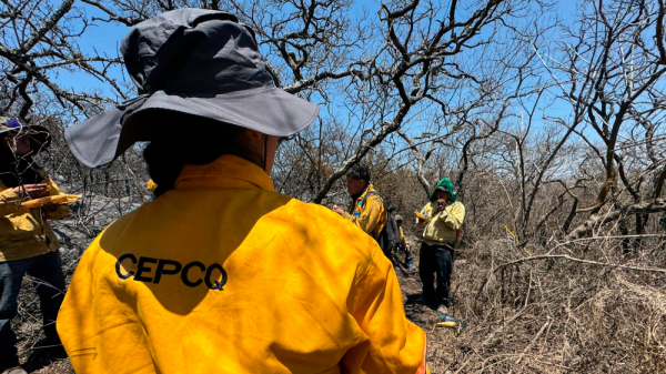 Declaran emergencia por efectos de la sequía en Querétaro
