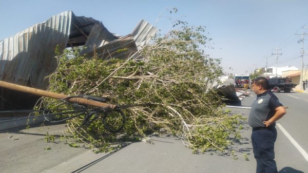 Atendieron autoridades de Delicias caída de láminas y árboles por fuertes viento
