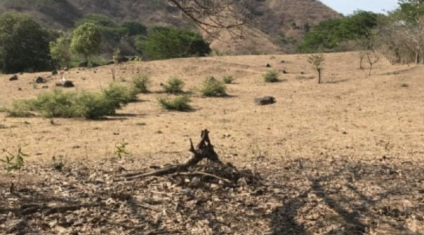 Denuncian que más de 500 jóvenes están recluidos por una organización criminal en Tierra Caliente