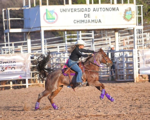 Invita la UACH al Mega Rodeo este 23 de mayo