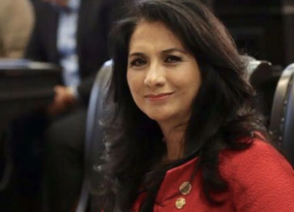 Regidora del Partido Verde asegura que animales no tienen derechos