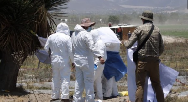Colectivo encuentra fosa con restos humanos en rancho de Palmar de Bravo, Puebla