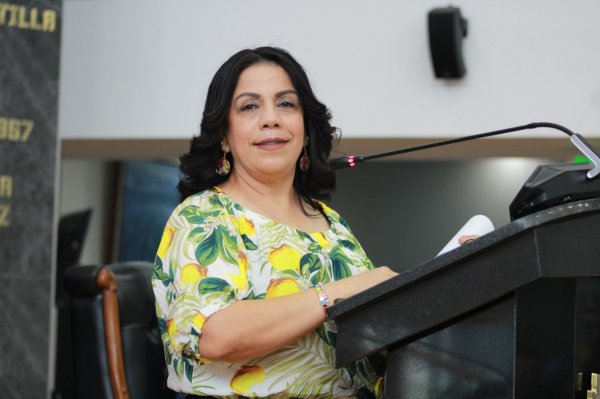 Cuestiona diputada Magdalena Rentería falta de resultados del Consejo Consultivo de Transporte