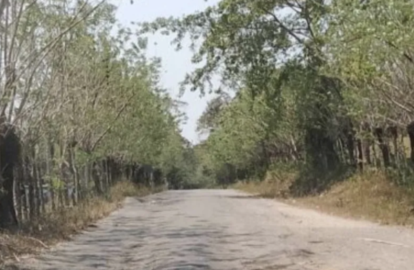 Abandonó obra carretera y la SICT le da contrato