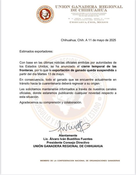 Pausarán exportaciones de ganado a partir de este martes: UGRCH