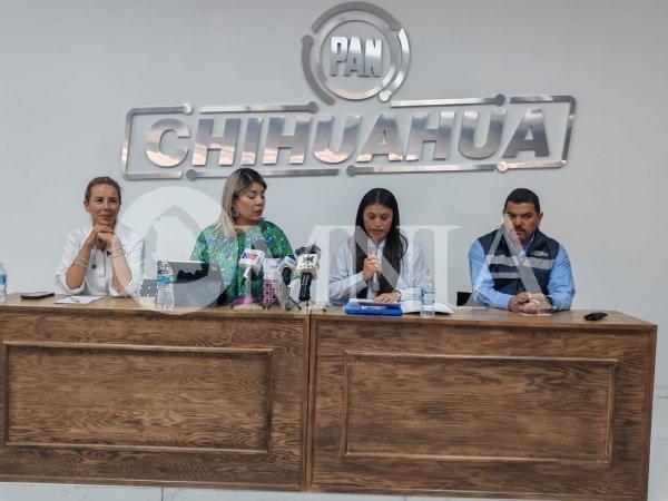 Primer año de legislatura sometido a la mezquindad de Morena, asalto judicial y órganos autónomos: GPPAN