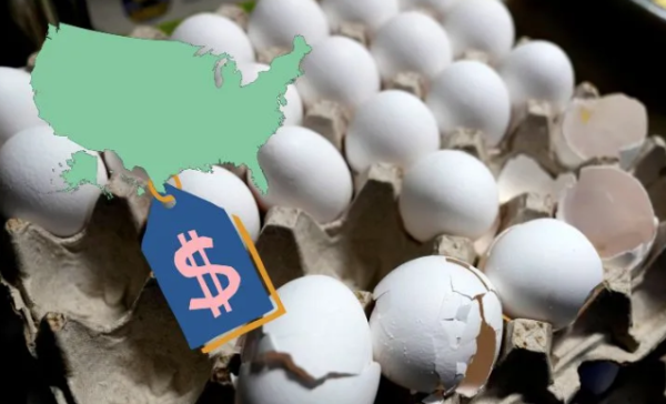 Huevo baja de precio en Estados Unidos tras récord