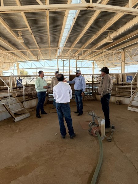 Refuerza Gobierno del Estado inspecciones sanitarias de ganado en la zona sur de la entidad