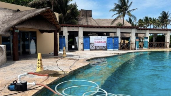 Clausura definitiva y multa millonaria al delfinario del hotel Barceló en la Riviera Maya  (Video)