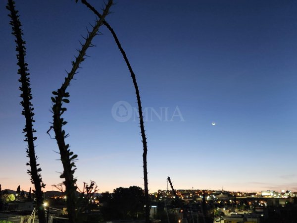 Hoy se esperan temperaturas máximas de 33 grados centígrados; no hay probabilidad de lluvia