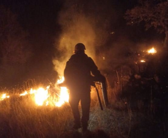 Despliegan a más de 170 brigadistas para atender incendios forestales en Madera y Casas Grandes