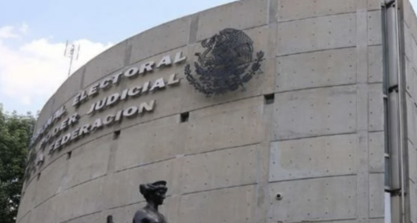INE invalidará a ganadores por cometer violencia de género o que sean deudores alimentarios: TEPJF