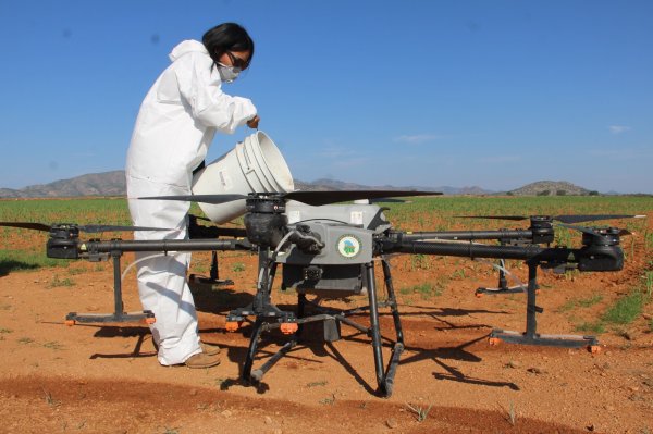 Fortalece Chihuahua la sanidad agropecuaria con inversión conjunta superior a 415 millones de pesos