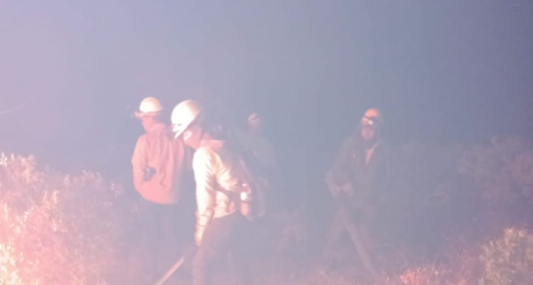 Suman 80 nuevos combatientes forestales para reforzar acciones contra incendios en la Sierra Tarahumara
