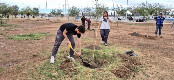 Reforesta Municipio y alumnos del COBACH la Huerta Legarreta