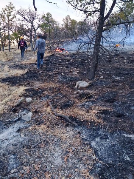 Cerca de 400 incendios forestales han sido liquidados en lo que va del año