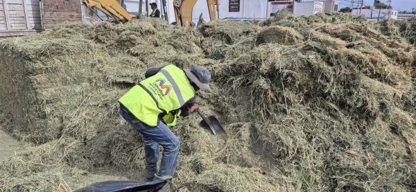 Realiza Gobierno Municipal limpieza de pastura después de accidente en periférico De la Juventud
