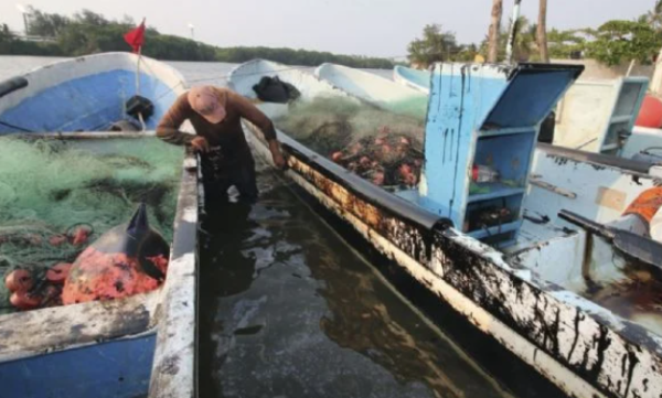 Pescadores afectados sobre derrame de Pemex en Tabasco: “Autoridades se hacen de la vista gorda”