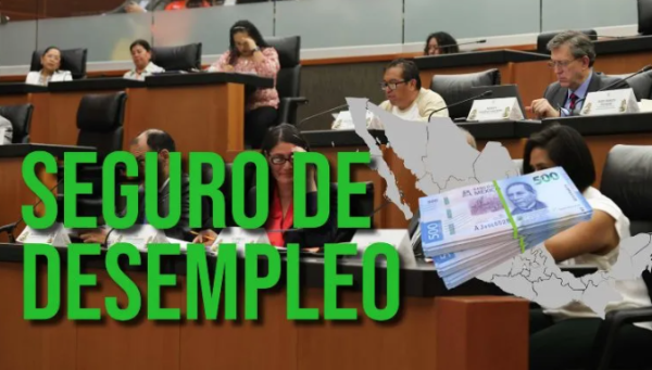 Plantean crear seguro nacional de desempleo