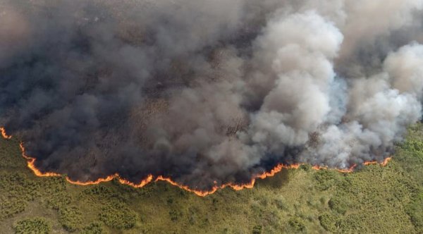 Hoy, viento de 80km/h genera riesgo de incremento de incendios forestales en Chihuahua: SMN