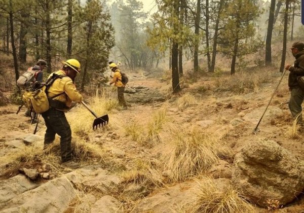 Se integran 30 brigadistas de otros estados al combate de incendios forestales en Chihuahua