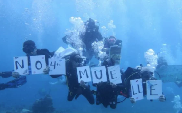 Protestan en el fondo del mar contra la construcción del Cuarto Muelle en Cozumel