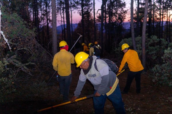 Despliegan a 396 combatientes para atender 21 incendios forestales