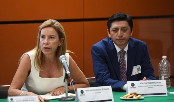 Advierte Manque riesgos en reforma de telecomunicaciones: No podemos permitir que el gobierno sea juez y parte