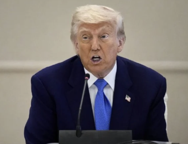 Organizaciones demandan al gobierno de Trump por poner en riesgo a fauna del Golfo de México con proyectos petroleros
