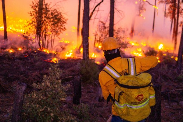 Trabajan más de 440 combatientes en la línea de fuego para liquidar 23 incendios forestales