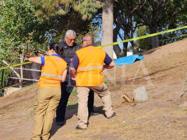 Muere hombre bajo un árbol en el Parque el Palomar; autoridades no habrían atendido reporte previo