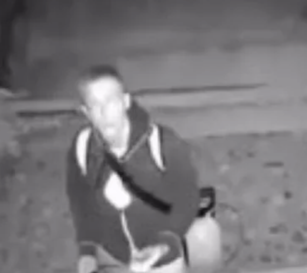 Captan a extranjero arrojando ácido a perros en Oaxaca (Video)