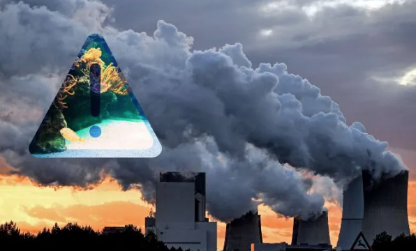 Cambio climático es la tercera causa de pérdida de diversidad en el mundo