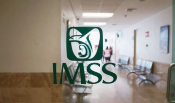 Licitación sospechosa en el IMSS Veracruz, un patrón de favoritismo en 14 estados