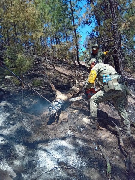 Brigada regional de Conafor atiende en La Varas y La Norteña