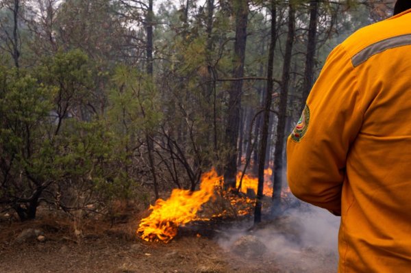 Combaten 435 brigadistas 24 incendios forestales activos en la entidad