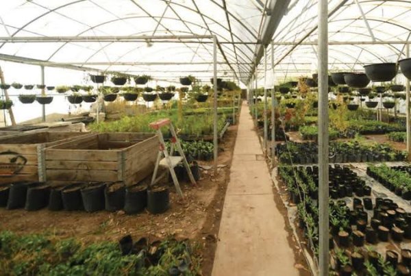 Invita UACH al XXXVII Congreso Internacional en Administración de Empresas Agropecuarias