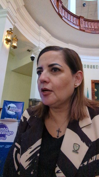Votaré por los perfiles que podrán refrendar el trabajo del PJ: Myriam Hernández