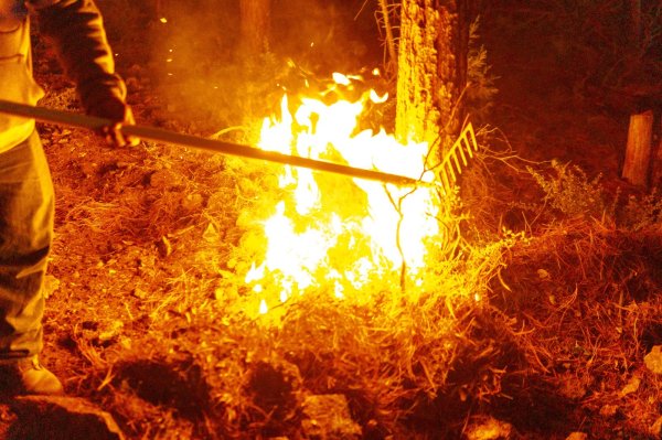 Suman 450 incendios forestales combatidos en lo que va del año