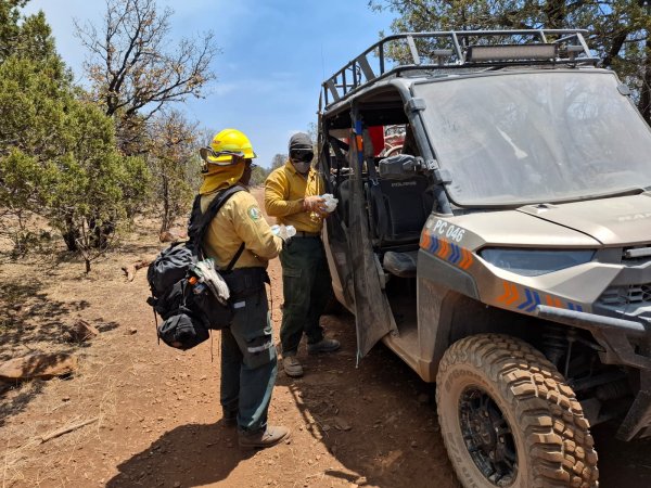 Atienden incendio forestal en la zona limítrofe de Chihuahua y Sonora
