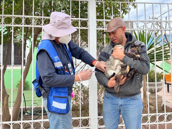 Benefició IMPAS a más de 4 mil 200 chihuahuenses con “El Patio de mi Casa” durante mayo