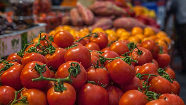 Alerta por tomates asesinos en EU
