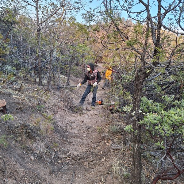 Reporta SDR 12 incendios forestales activos en el estado