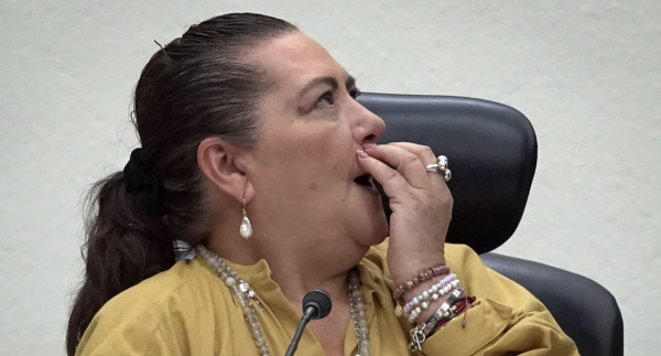 Admite Taddei que llevará su “acordeón” para votar en elección judicial; es imposible memorizar tantos nombres, justifica
