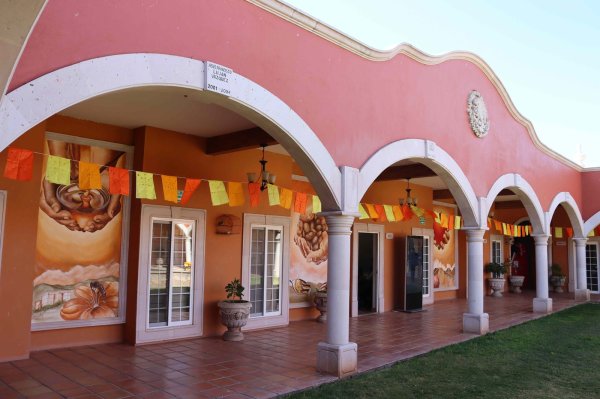 Llegan las “Rutas Mágicas de Color” al Valle de Allende