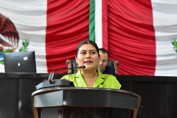 La diputada Irlanda Márquez  solicita información frente al abuso sexual en Chihuahua