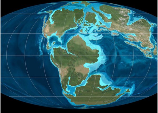 El norte de México estuvo bajo el Mar de Tetis y por eso tiene numerosos desiertos con fósiles