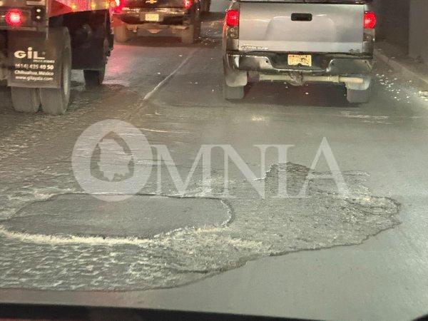 Denuncian bache 