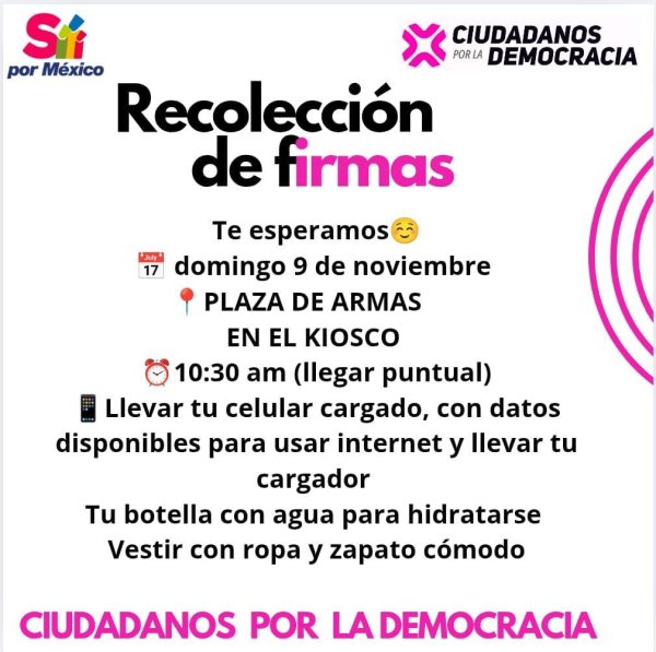 Ciudadanos por la democracia reunirá firmas el día de mañana para iniciativa electoral