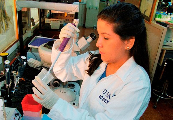 Crean antiveneno contra mordedura de las serpientes más letales de África